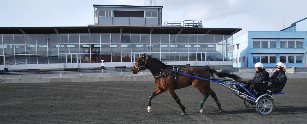 Nya B-tränare - Nyheter - Bodentravet